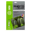 Cactus CS-GSA413050 Фотобумага A4/130г/м2/50л. глянцевое самоклей. для струйной печати